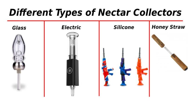 Characteristics of the Top Nectar Collector