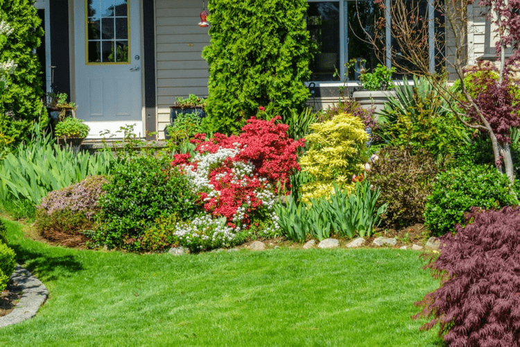 6 Best Lawn Care Tips