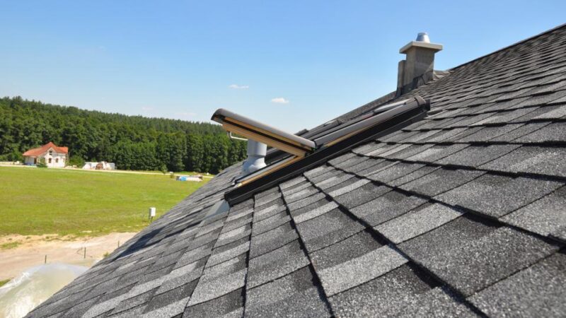 Roof shingles basics: everything you need to know