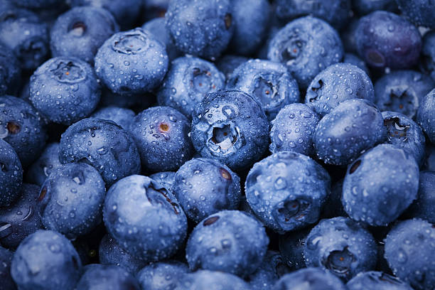 wellhealthorganic.com:blueberry-brain-boosting-benefits